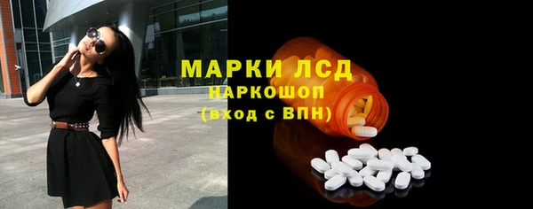 таблы Бородино