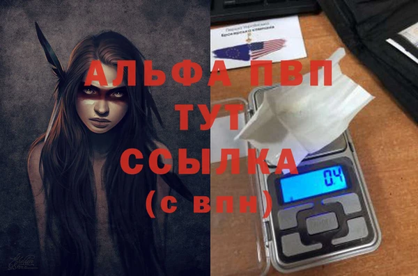 таблы Бородино