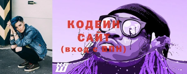 таблы Бородино