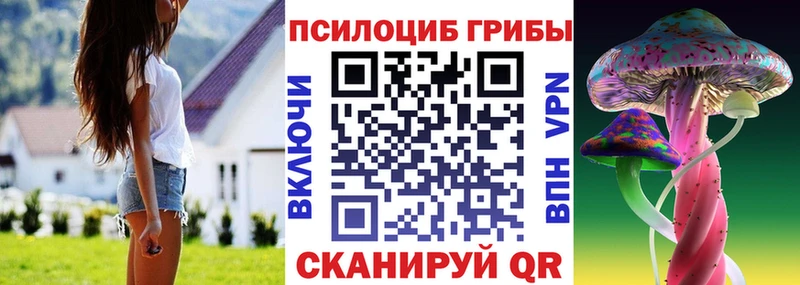 Купить где  Снежногорск  Псилоцибиновые грибы мухоморы 