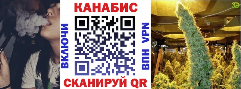 Купить закладки  Снежногорск  Шишки марихуана THC 21% 